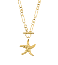 Heirloom Modern Paperclip Necklace with Matte Gold Starfish